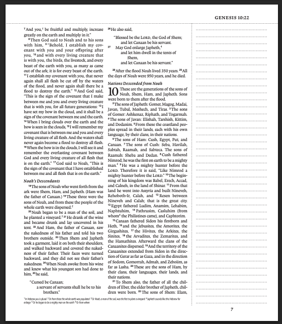 ESV Journaling Bible® (TruTone, Brown/Tan, Timeless Design)
