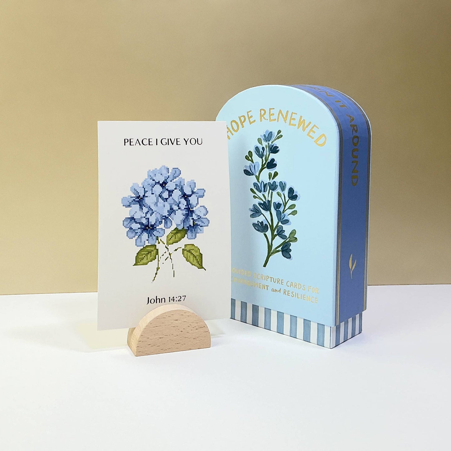 Guided Cards w/Stand Hope Renewed (Blue)