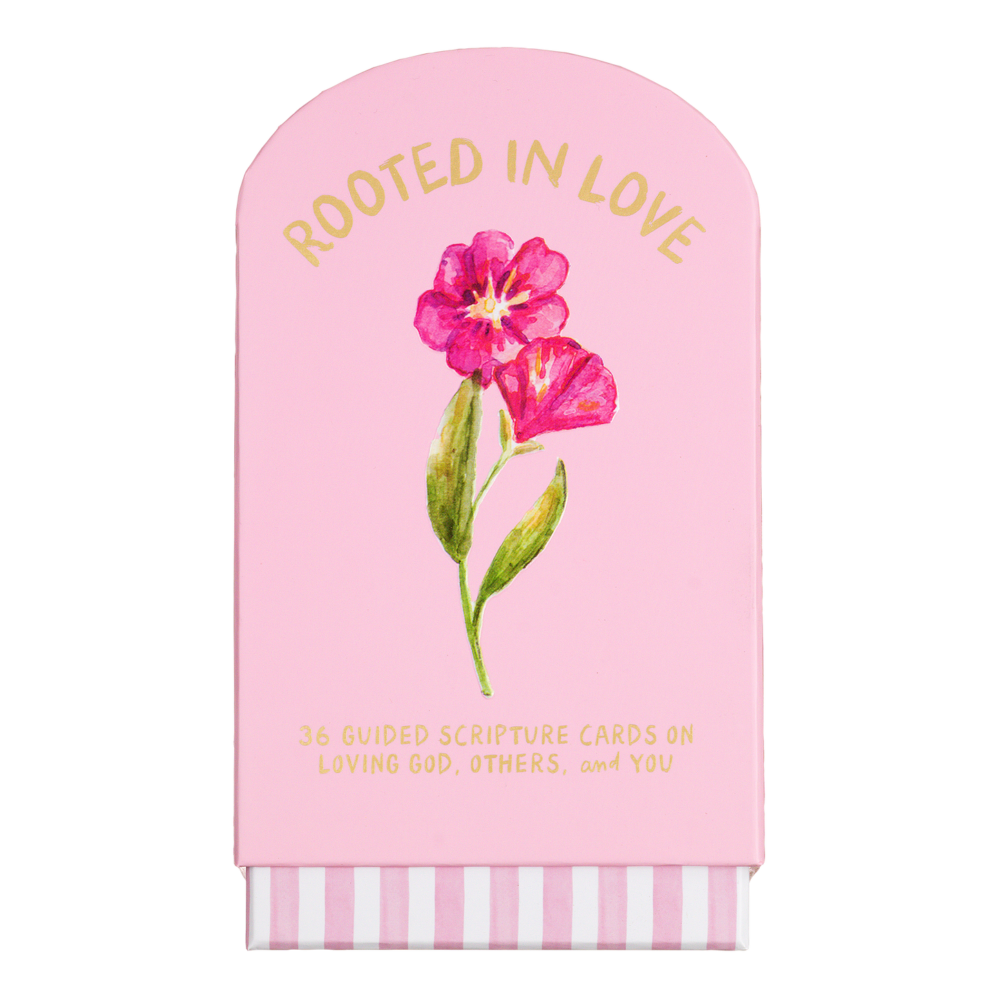Guided Cards w/Stand Rooted in Love