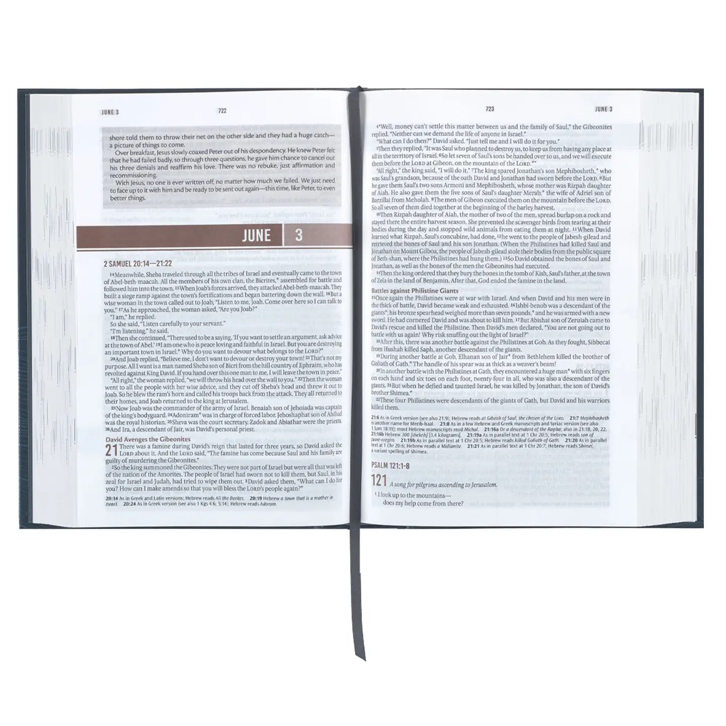 Devotional Bible Nlt For Men Hardcover, Navy