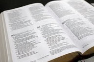 NIV, NKJV, NLT, The Message, (Contemporary Comparative) Parallel Bible