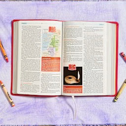 CSB One Big Story Bible, Pink LeatherTouch