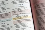 NIV, Radiant Virtues Bible: A Beautiful Word Collection, Red Letter Edition, Comfort Print: Explore the virtues of faith, hope, and love