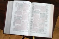 NIV, Thompson Chain-Reference Bible, Handy Size, Red Letter Edition, Comfort Print