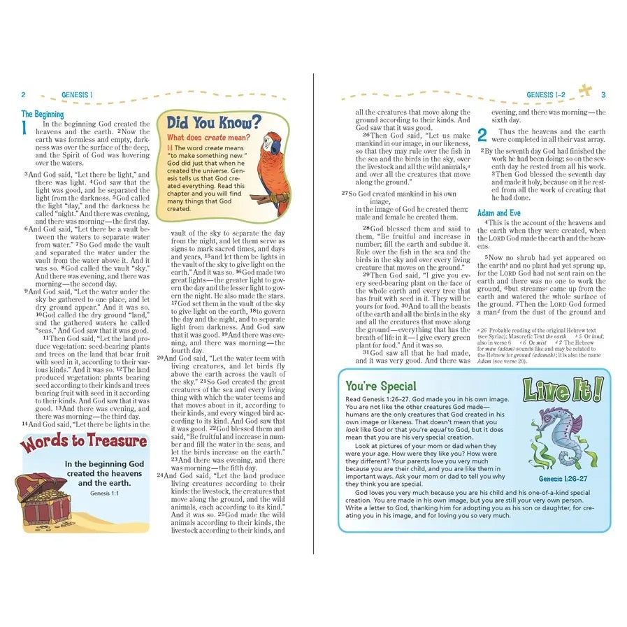NIV, Adventure Bible, Full Color Interior