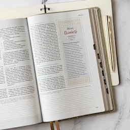 CSB (in)courage Devotional Bible, Sage LeatherTouch, Indexed