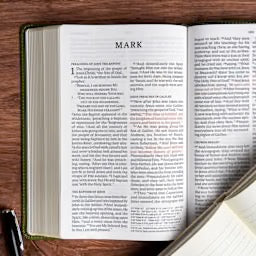 NASB Personal Size Giant Print Bible, Olive LeatherTouch