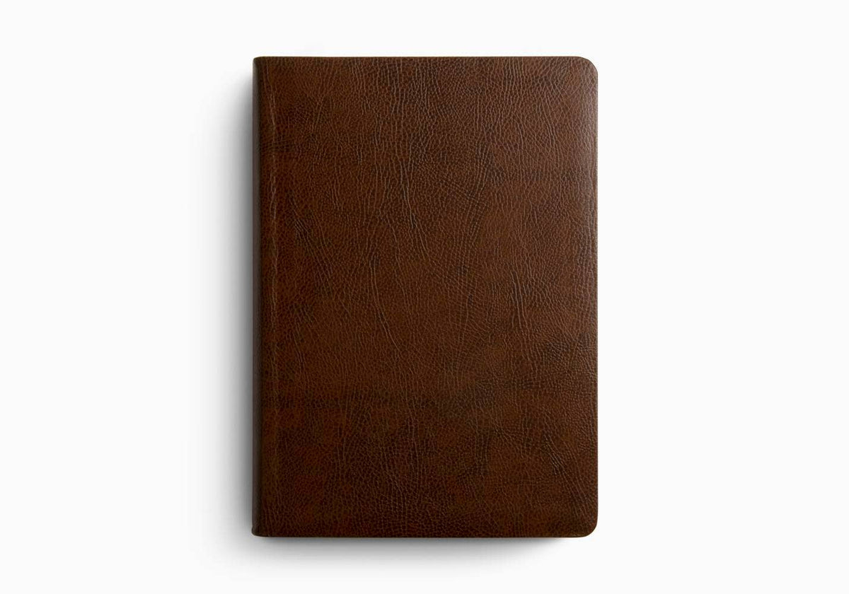 ESV Single Column Journaling Bible®, Large Print, Mocha