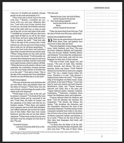 ESV Journaling Bible® (TruTone, Brown/Tan, Timeless Design)