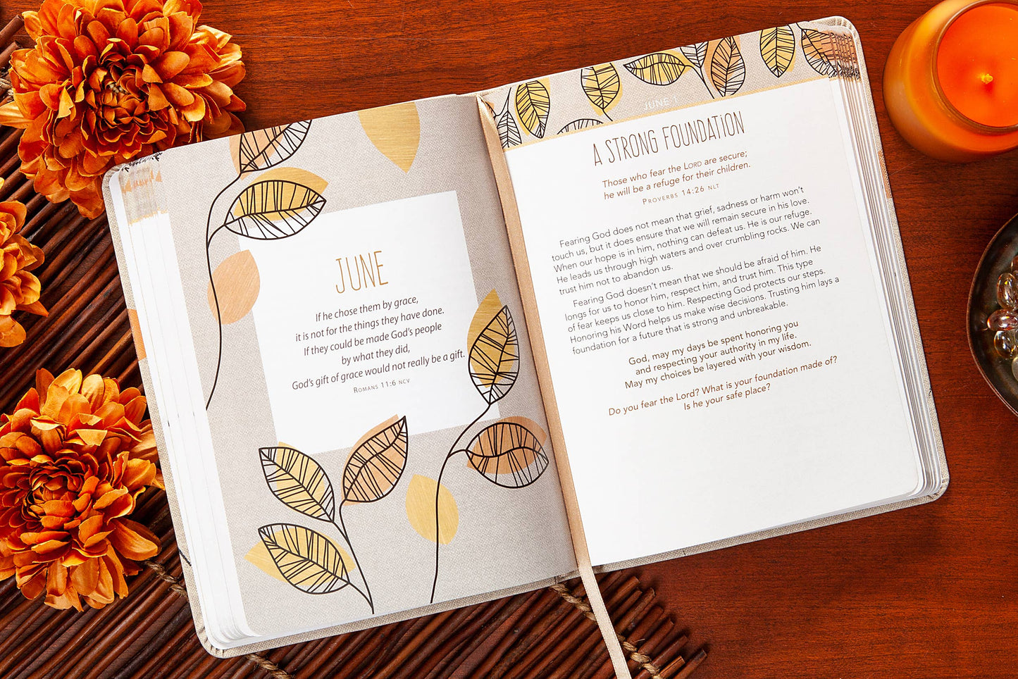 For I Know the Plans (Daily Devotional)