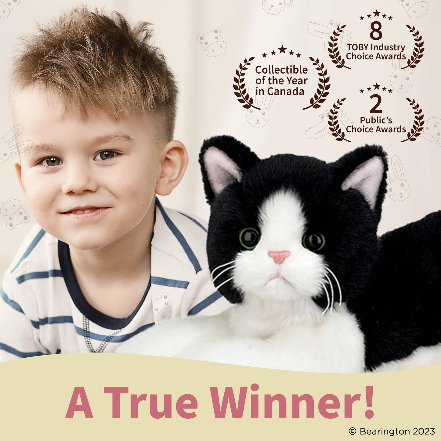 Boaz the Black & White Cat
