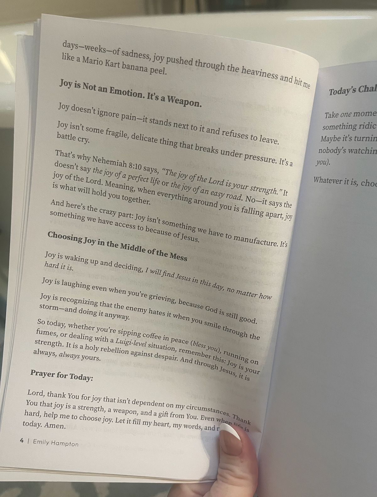 Holy Shenanigans | 30-Day Christian Devotional for Women