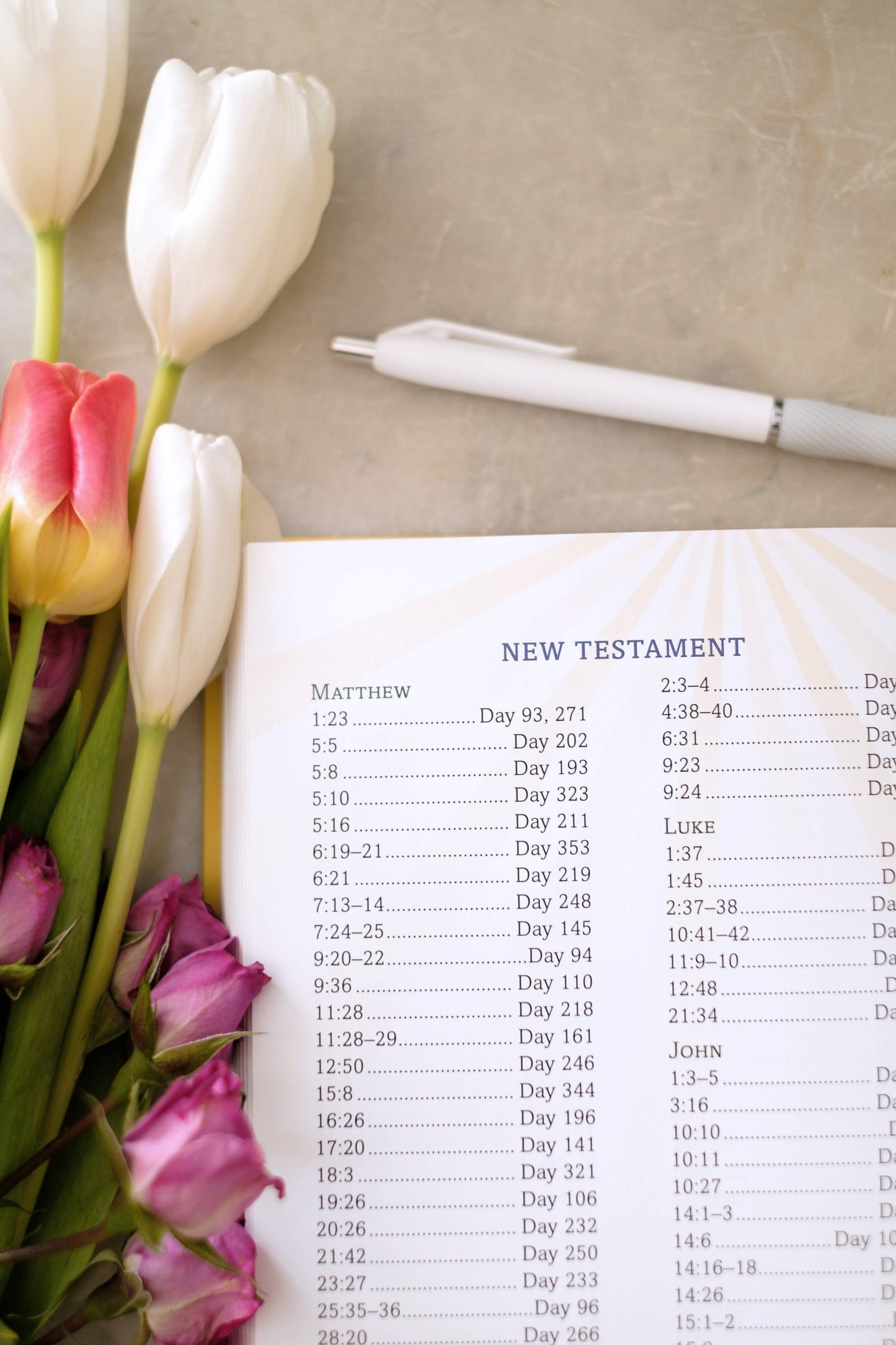 She Will Persevere Devotional