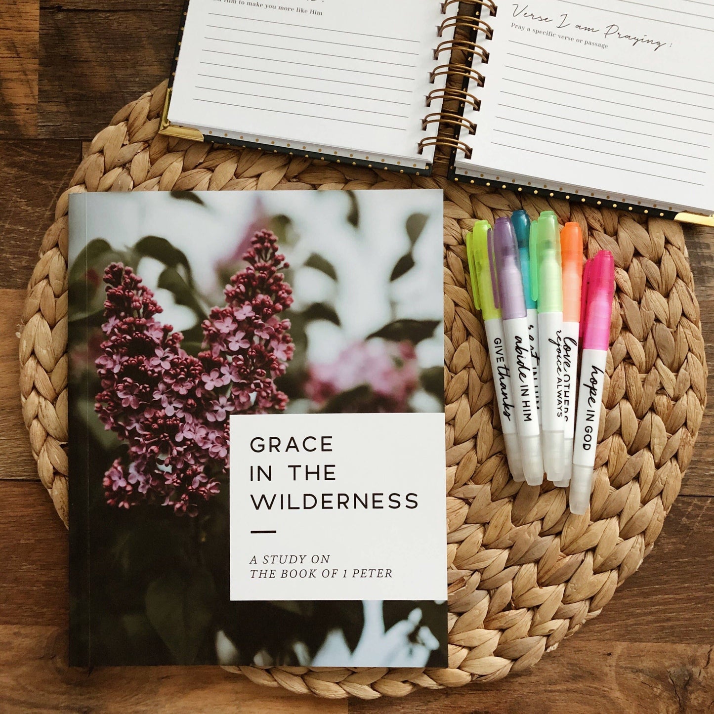 Grace in the Wilderness | Study on 1 Peter