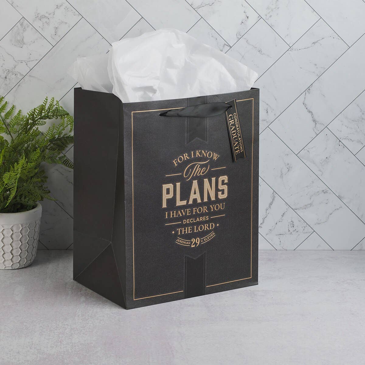 Gift Bag LG Portrait I Know the Plans Jer. 29:11