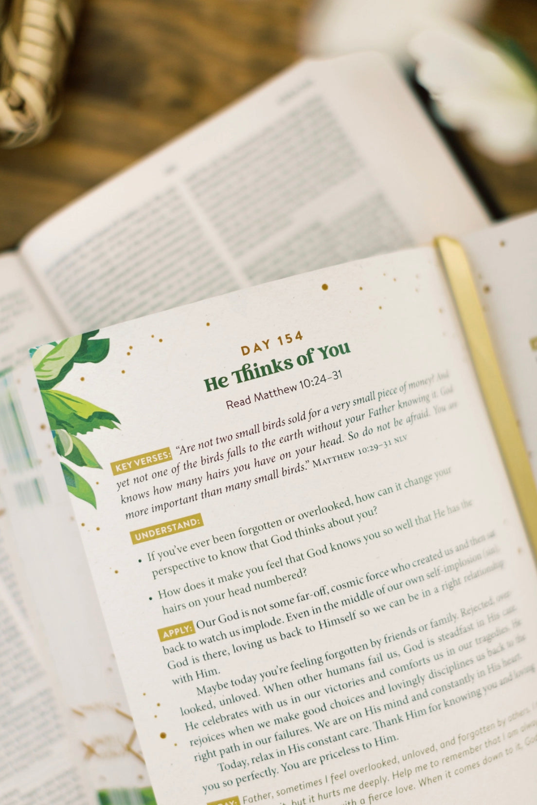 The Daily 5-Minute Bible Study For Women