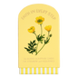 Guided Cards w/Stand Faith in Every Step