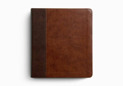 ESV Journaling Bible® (TruTone, Brown/Tan, Timeless Design)