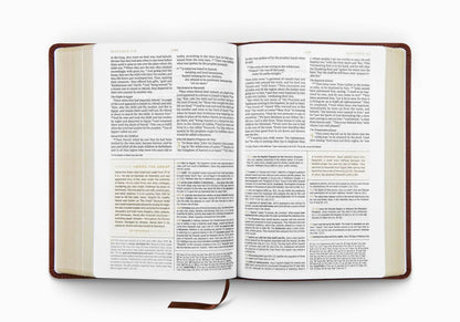 ESV Men's Study Bible: TruTone®, Brown