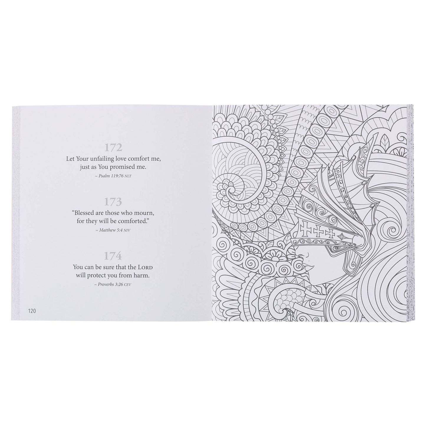 365 Promises from God to Color