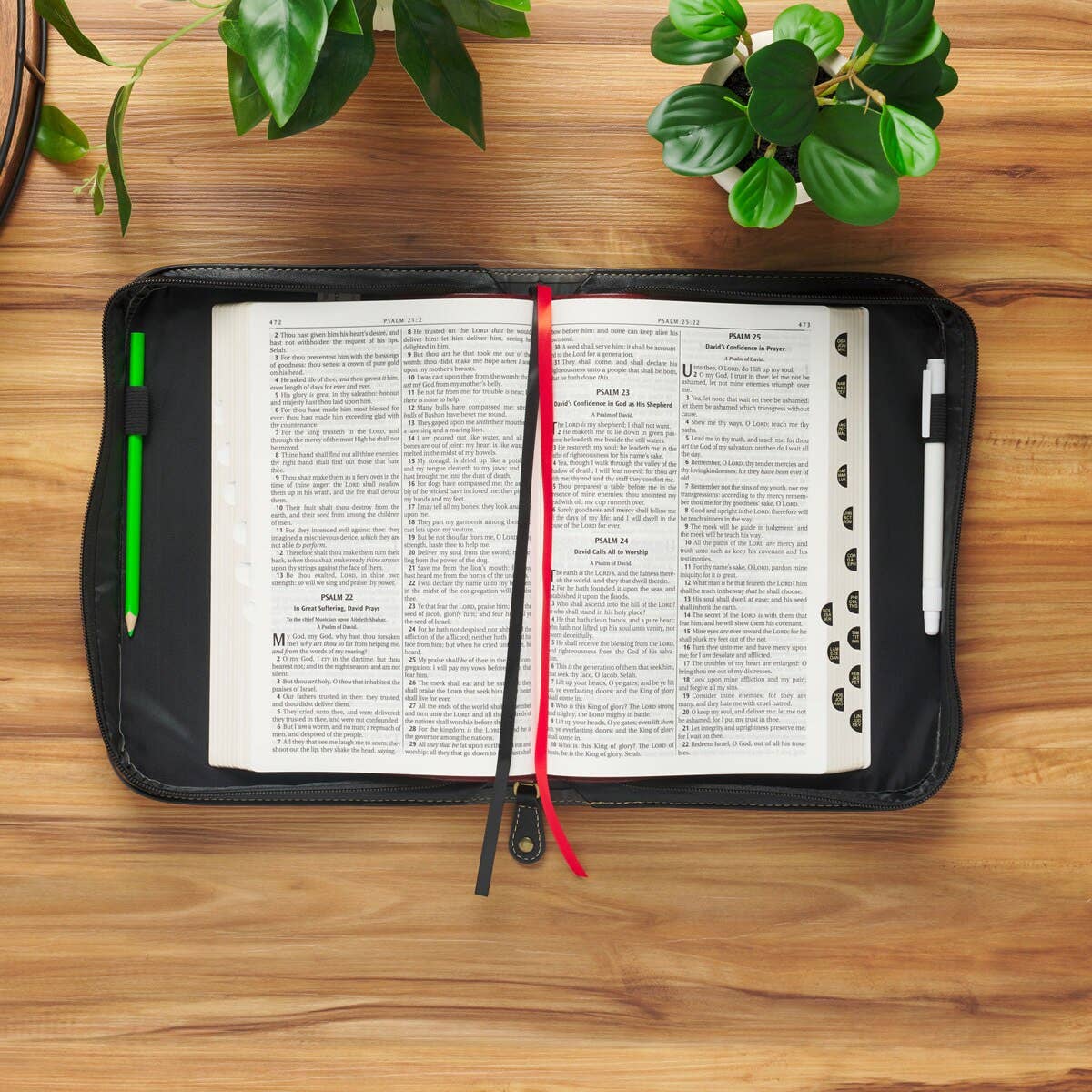 Bible Cover Classic Black/Gray I Know the Plans Jer. 29:11 M