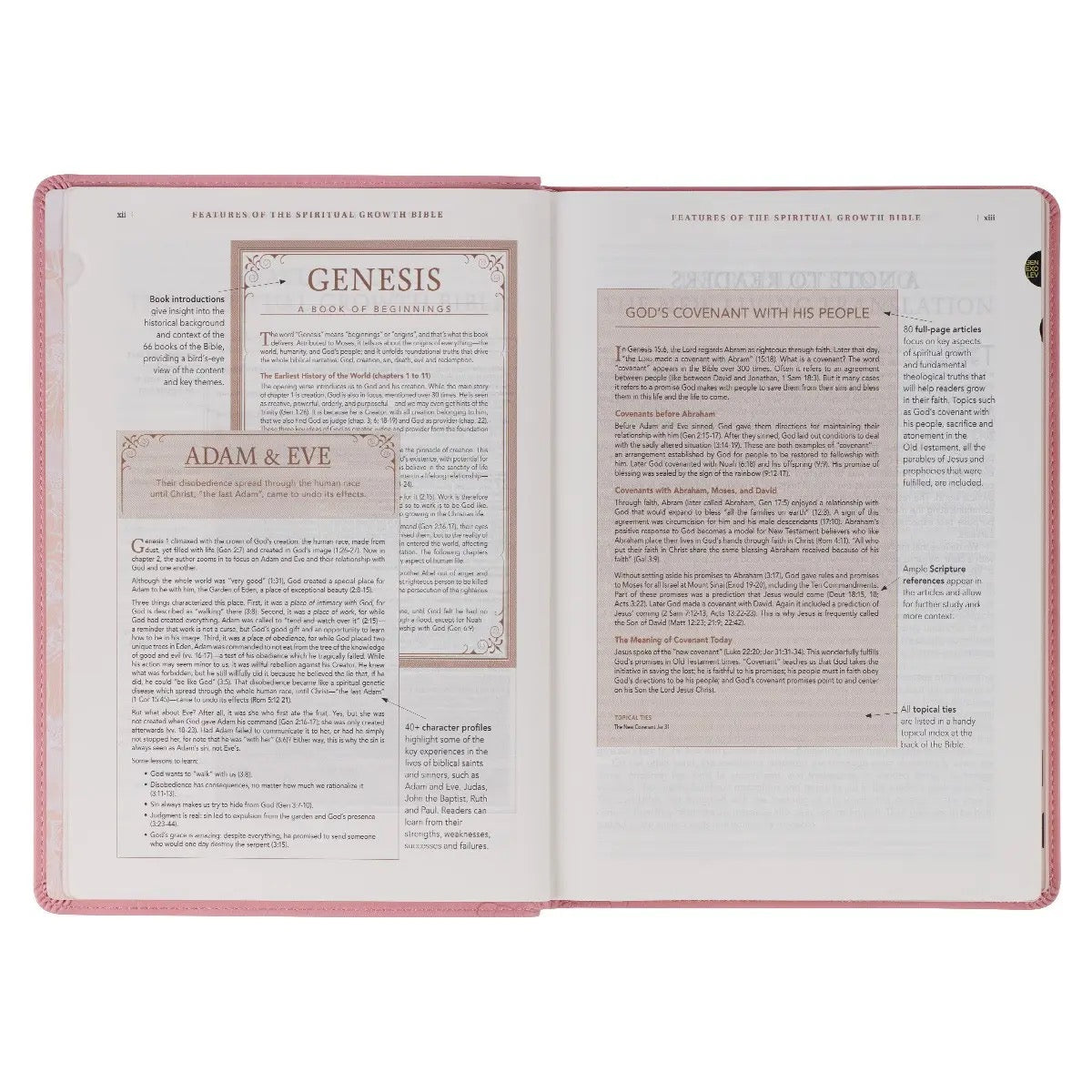 Nlt, the Spiritual Growth Bible Faux Leather, Pink