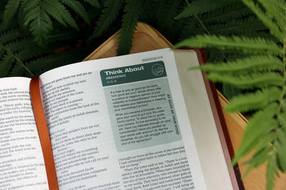 Rooted: The NIV Bible for Men, Comfort Print