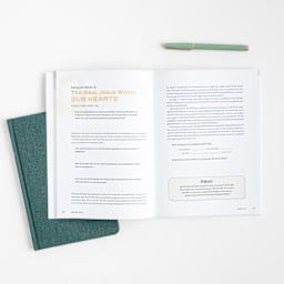 Not My Jesus - Bible Study Book with Video Access: Reclaiming the Truth, Rejecting the Idols