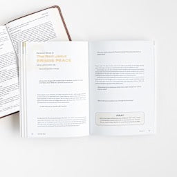 Not My Jesus - Bible Study Book with Video Access: Reclaiming the Truth, Rejecting the Idols