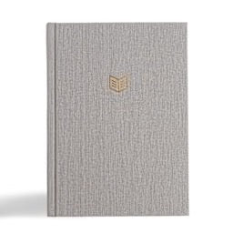 CSB She Reads Truth Bible, Gray Linen Cloth Over Board