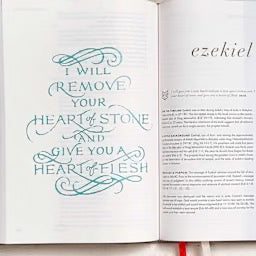 CSB She Reads Truth Bible, Gray Linen Cloth Over Board