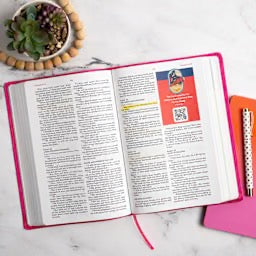 KJV Explorer Bible for Kids, Bubble Gum LeatherTouch