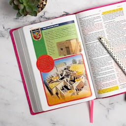 KJV Explorer Bible for Kids, Bubble Gum LeatherTouch