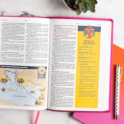 KJV Explorer Bible for Kids, Bubble Gum LeatherTouch