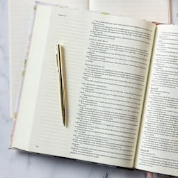 KJV Notetaking Bible, Large Print Hosanna Revival Edition, Blush Cloth Over Board