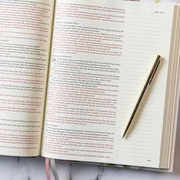 KJV Notetaking Bible, Large Print Hosanna Revival Edition, Blush Cloth Over Board