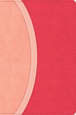 CSB Rainbow Study Bible, Pink LeatherTouch (Limited Edition)