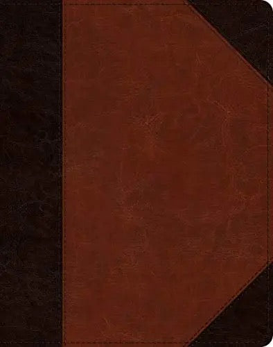 ESV Single Column Journaling Bible (TruTone, Brown/Cordovan, Portfolio Design)