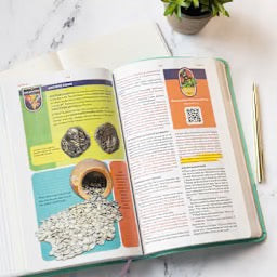 CSB Explorer Bible for Kids, Light Teal Mountains LeatherTouch