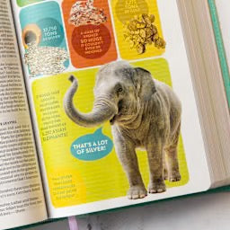 CSB Explorer Bible for Kids, Light Teal Mountains LeatherTouch