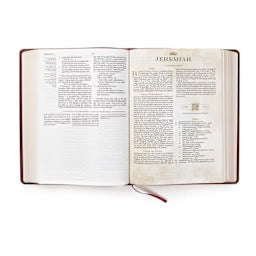 CSB Tony Evans Study Bible, Burgundy LeatherTouch