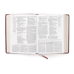 CSB Tony Evans Study Bible, Burgundy LeatherTouch