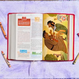 CSB One Big Story Bible, Pink LeatherTouch