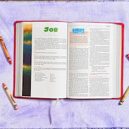 CSB One Big Story Bible, Pink LeatherTouch