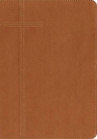 Every Man’s Bible NLT, Large Print