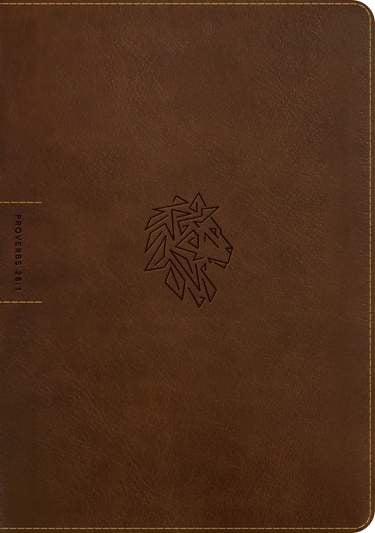 NLT Courage For Life Study Bible for Men, Filament Enabled