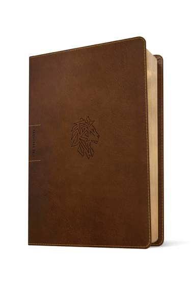 NLT Courage For Life Study Bible for Men, Filament Enabled