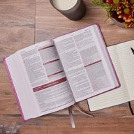 KJV, Word Study Reference Bible, Red Letter, Comfort Print: 2,000 Keywords that Unlock the Meaning of the Bible