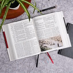 KJV Study Bible, Charcoal Cloth Over Board