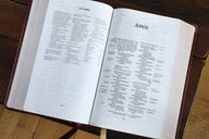 NIV, Thompson Chain-Reference Bible, Handy Size, Red Letter Edition, Comfort Print